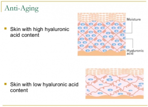Skin with and without Hyaluronic Acid